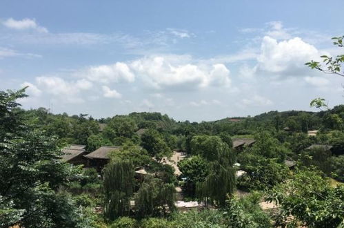 成都周邊隱藏一個(gè)4a級(jí)古鎮(zhèn),門(mén)票0元,在山水之間,正越來(lái)越火